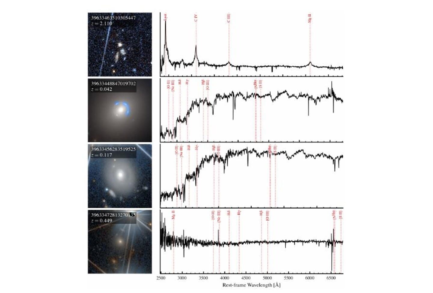 Four high-ranking Euclid anomaly candidates with their matched DESI spectra